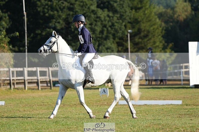 250823A-083319-25528 - Arena A