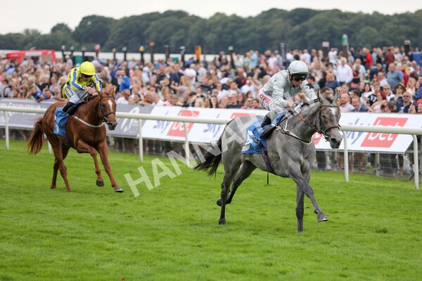 yr24072021r4-19 - Race 4 3.50pm Sky Bet Britain's Most Popular Online Bookmaker EBF Restricted Novice Stakes (Plus 10