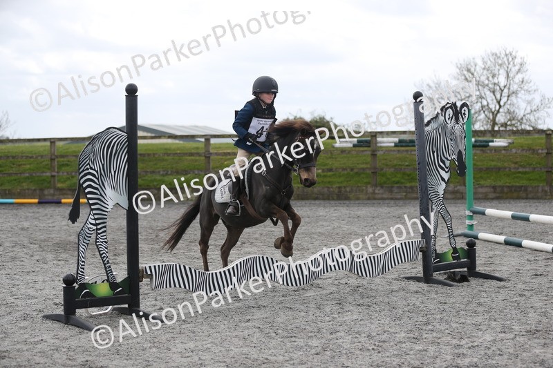 20260412-0584 - Show Jumping