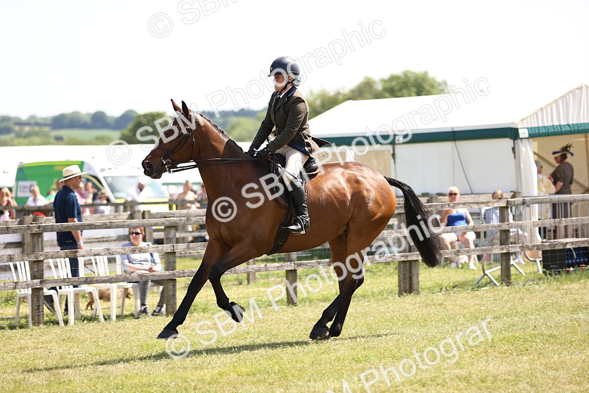 SBM_14921 - Class 78 - LIHS BSHA Open Racehorse & Show Horse