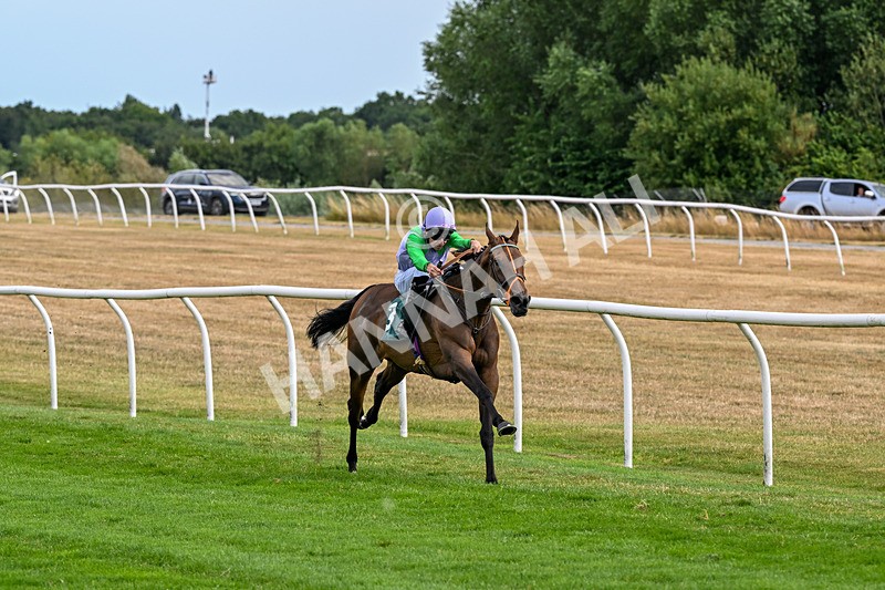 040826-Race 5-Halimede-5439 - Race 5 16.15pm racingtv.com Handicap