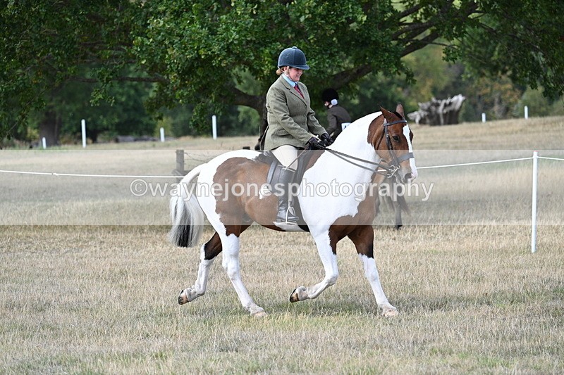 WJ7_6849 - Class 14 Ridden Coloured