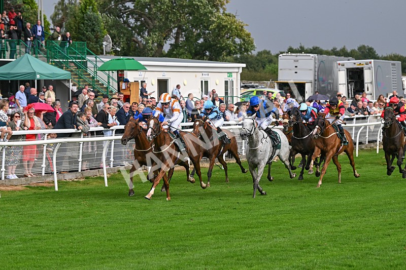 280824-Race 5-Hidden Pearl-4763 - Race 5