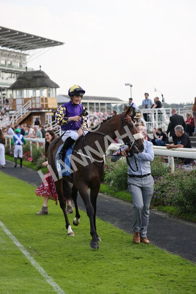 yr05092021r4-11 - Race 4 3.45pm Coopers Marquees British EBF Future Stayers' Novice Stakes