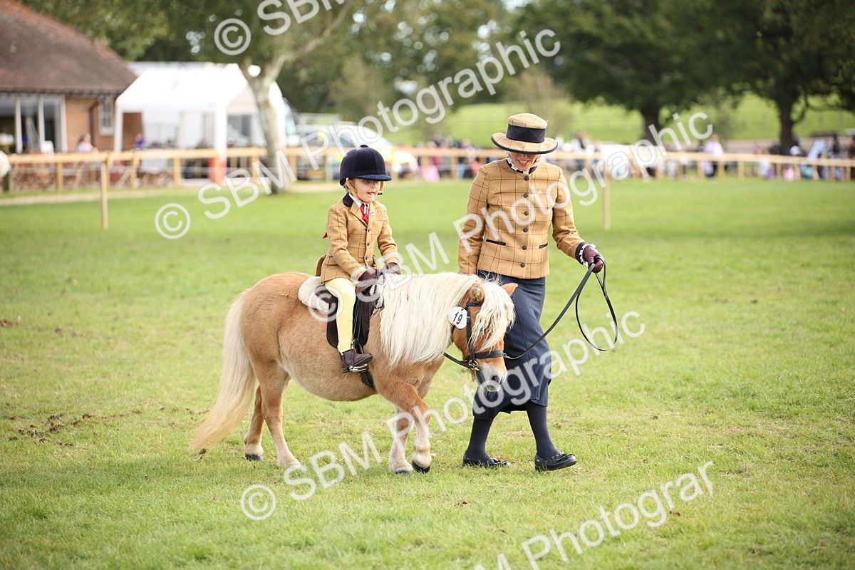 SBM_50154 - S26 - Young Veteran - Ridden