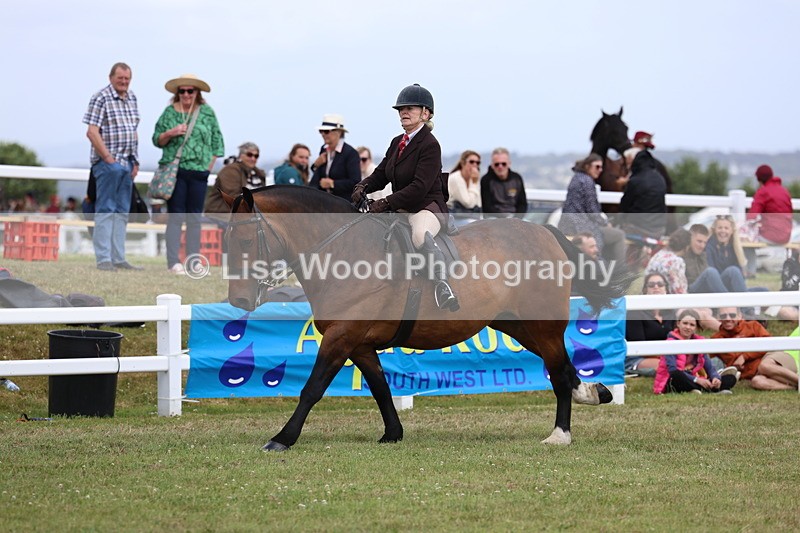 3E7A2039 - Class 10: Open Cob