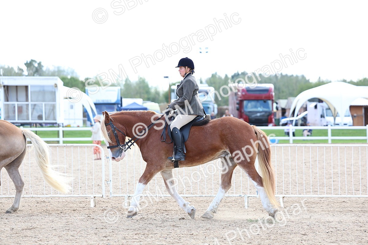 SBM_17169 - Class 315 - Best Horse - Rider Combination