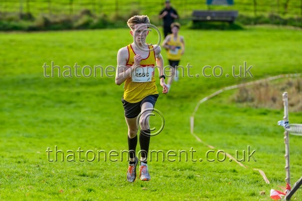 NatRel25-925473 - Young Male Set Two