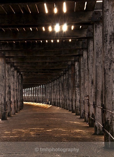 Down the Pier. - Yorkshire Coast