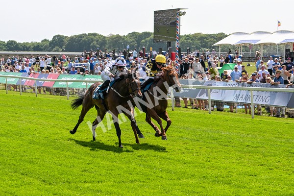 130625-Race 2-Carnation Queen-8644 - Race 2 2.25pm Coopers Marquees Rous Selling Stakes