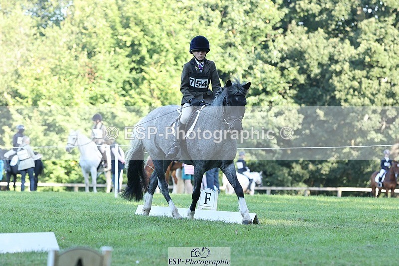 250823A-085059-25787 - Arena D