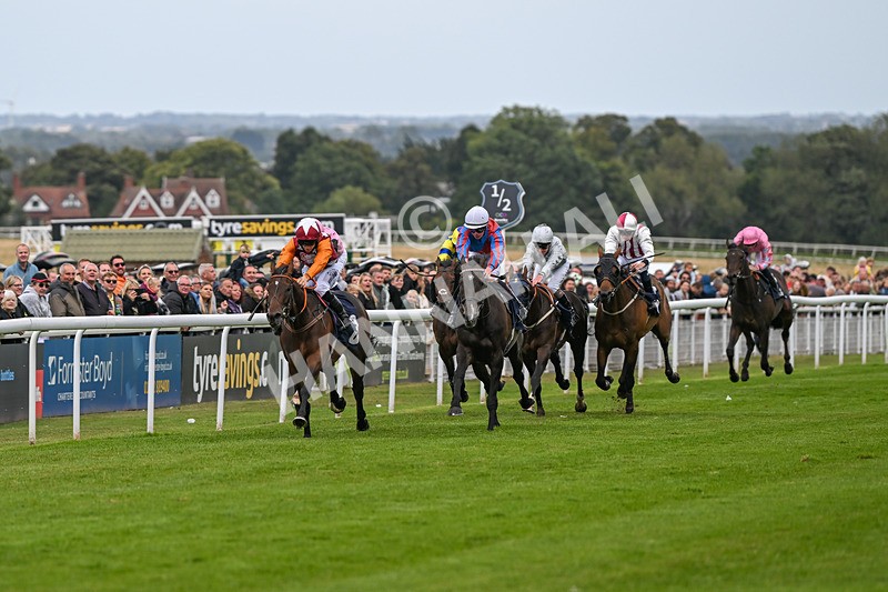 250824-Race 5-Lincoln Rockstar-3635 - Race 5