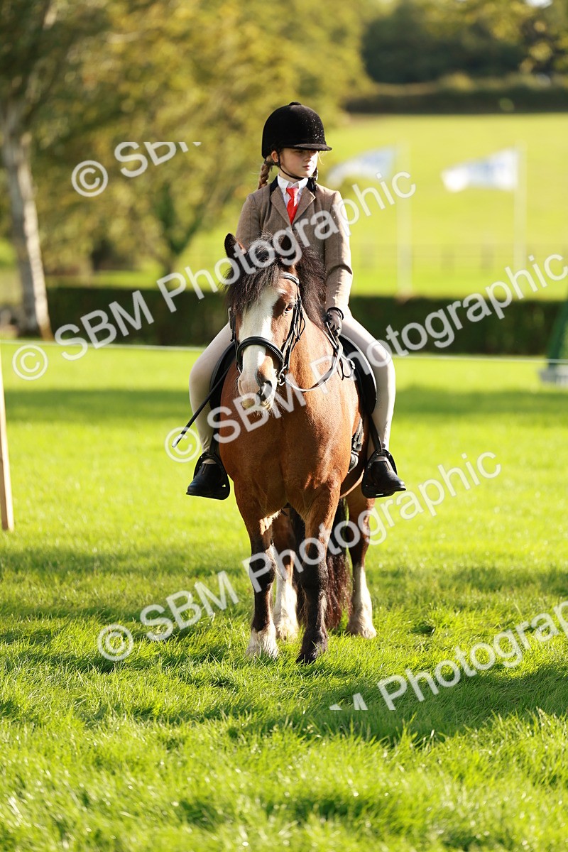 SBM_28677 - S7 - Novice & Newcomer Ridden Pony