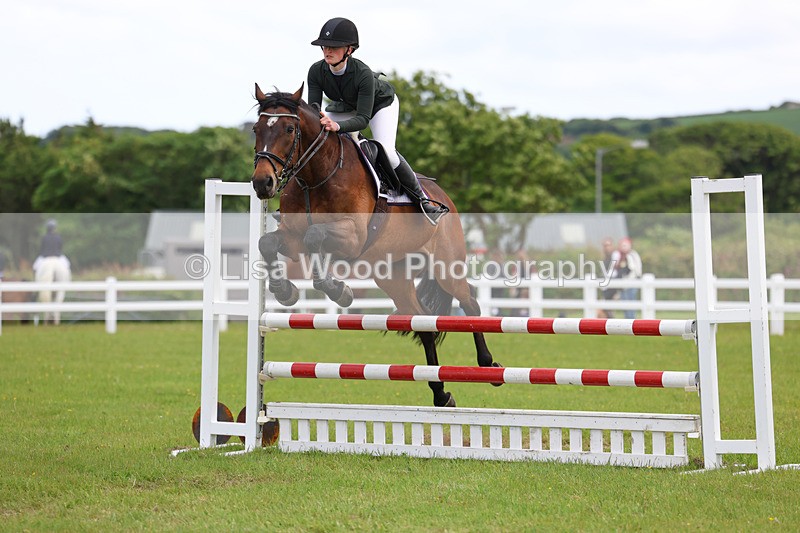 3E7A7789 - Class 13: Senior British Novice/90cm open