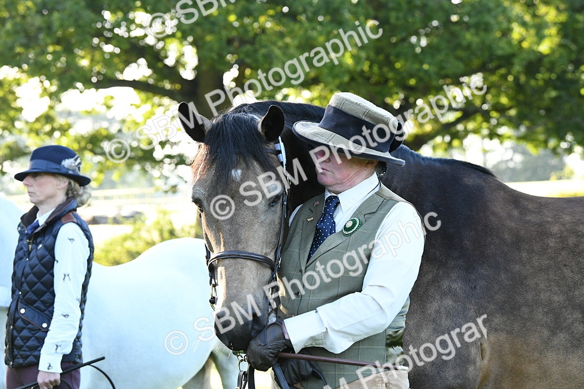 SBM_32692 - S15 - Condition & Turnout In Hand