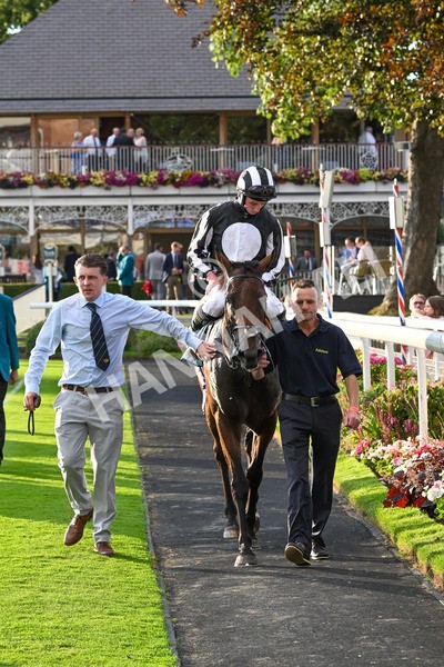 260724-Race 5-Verbier-5464 - Race 5 7.50pm British EBF Lyric Fillies' Stakes