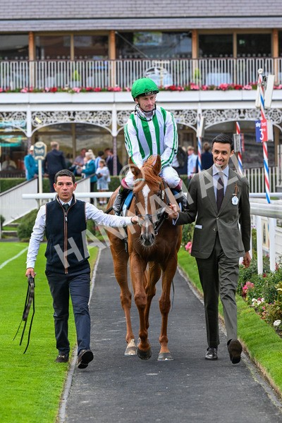250725-Race 5-Sand Gazelle-0742 - Race 5 7.48pm British EBF Lyric Fillies' Stakes