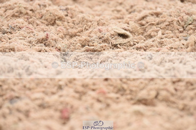 230630A-090940-00404 - Cls 1 Prelim 15