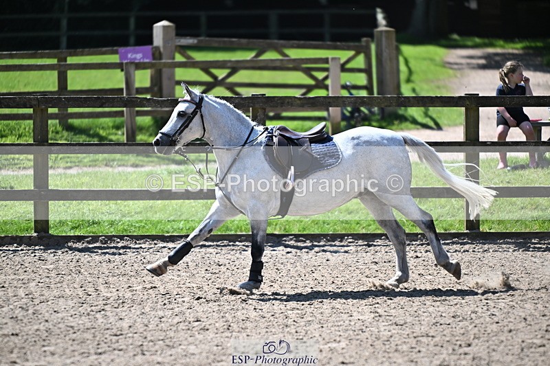 240729B-120105-02586 - Showjumping Competition