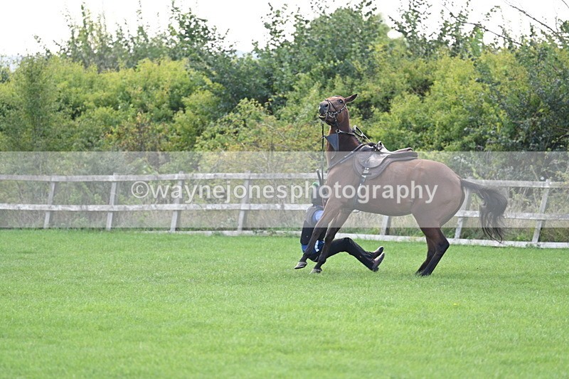 WJ7_0935 - Time 13:30 to 13:54