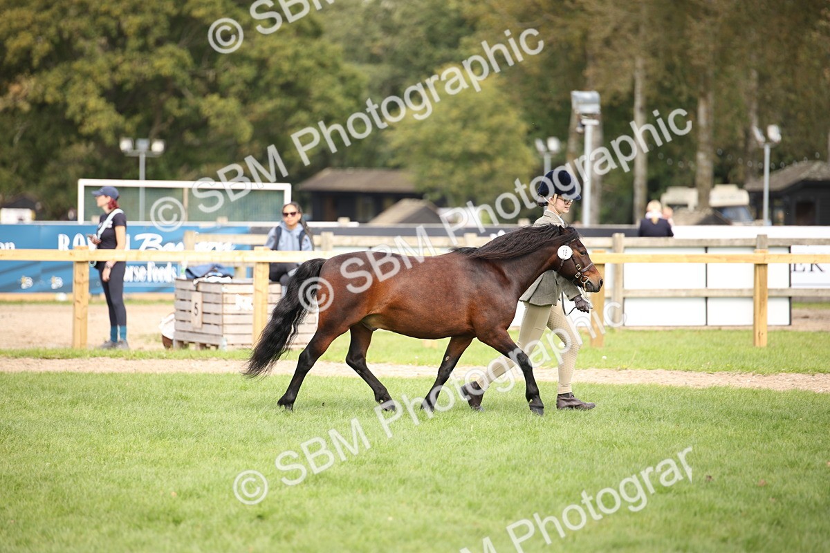 SBM_44483 - S24 - Young Veteran in hand