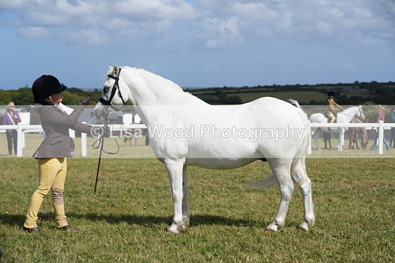 DSC07609 - Class 62: Child Handler