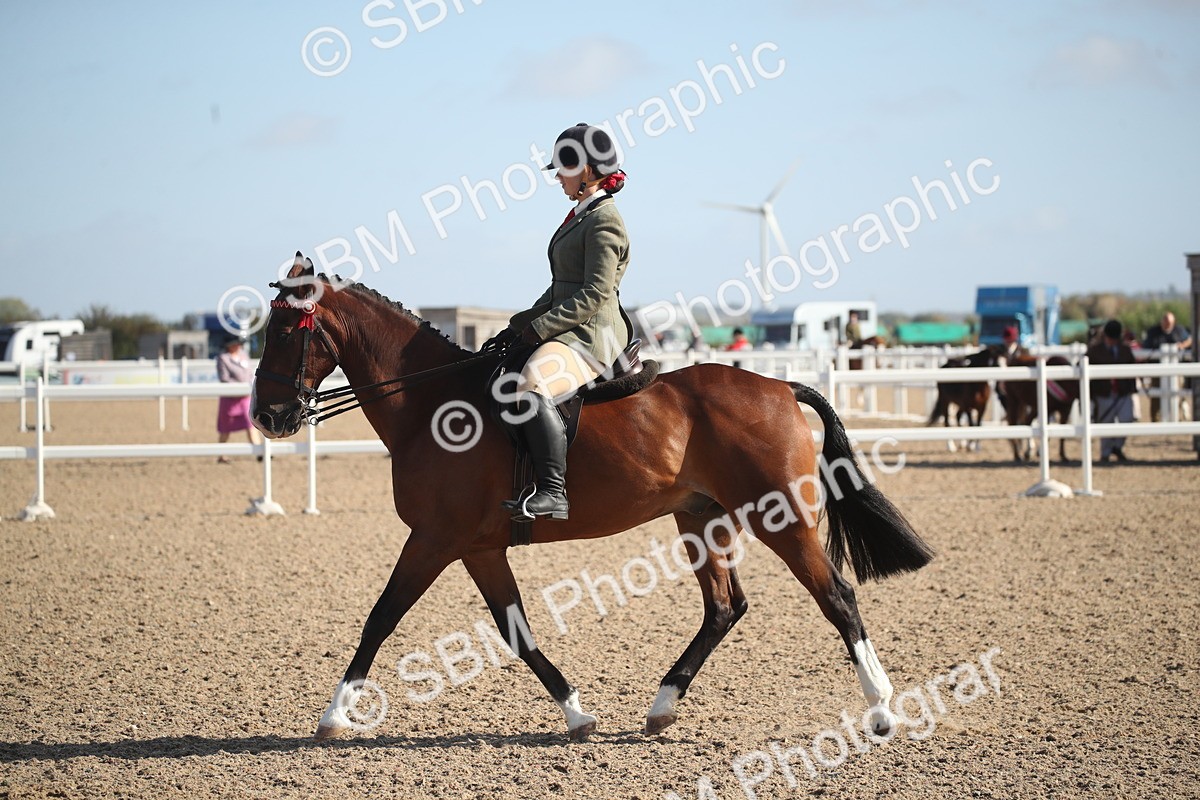 SBM_22719 - Class 601 - 2026 - Area - Ridden Diamond