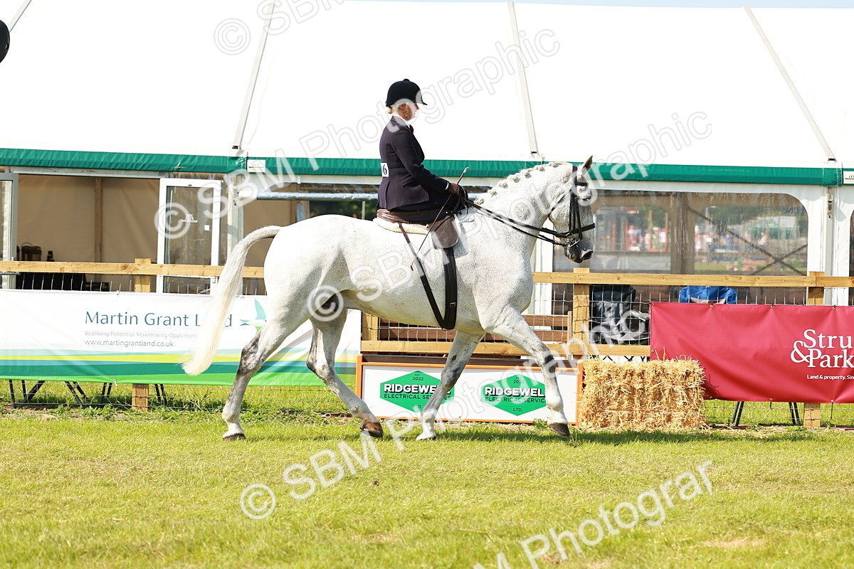 SBM_13149 - Class 70-71 - Side Saddle