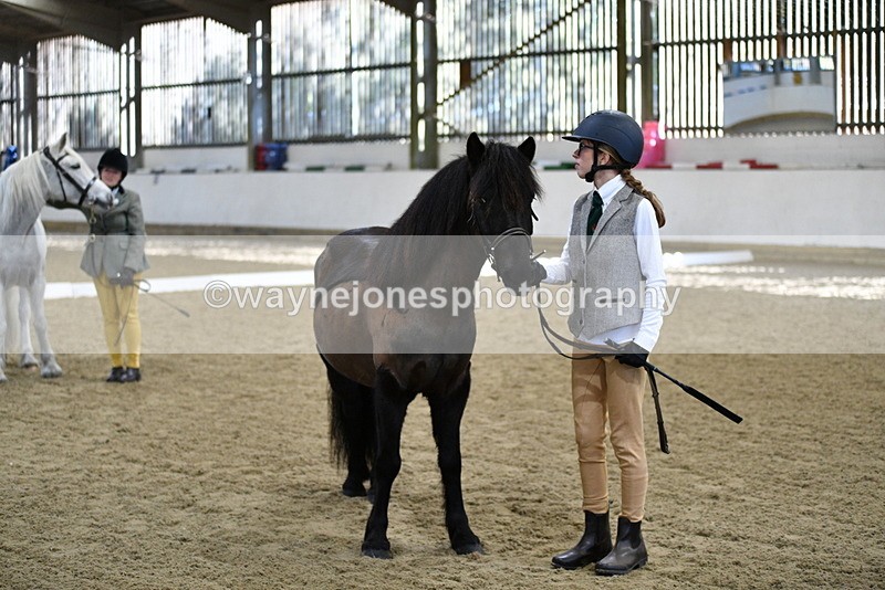 WJ5_3992 - Class 2 Best Condition In hand