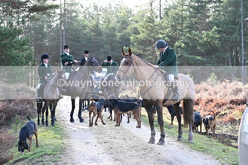 WJ7_7533 - Line 3 (no line 4 or 5)