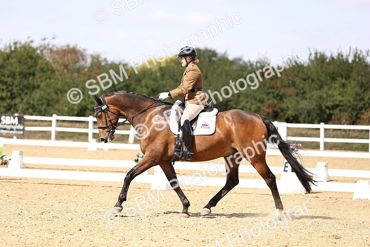 SBM_015105 - Class 6 - Elementary 5