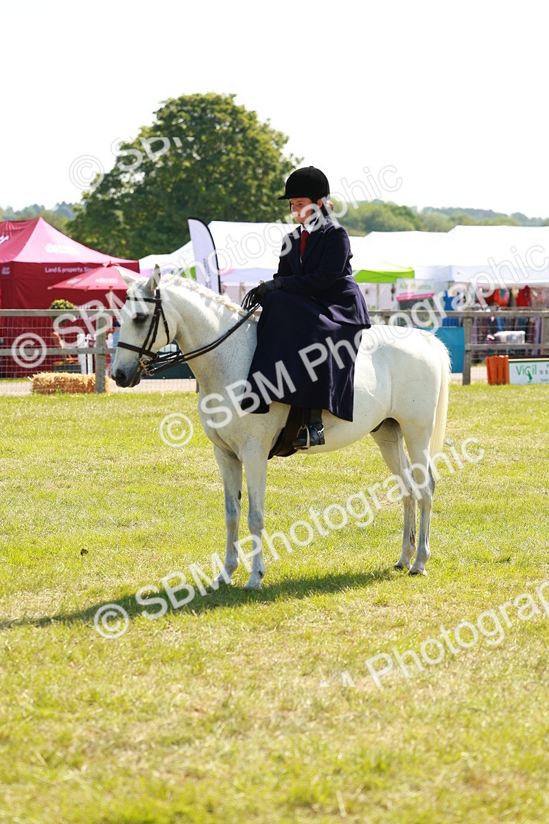 SBM_13361 - Class 70-71 - Side Saddle