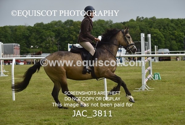 JAC_3811 - 65cm WORKING HUNTER