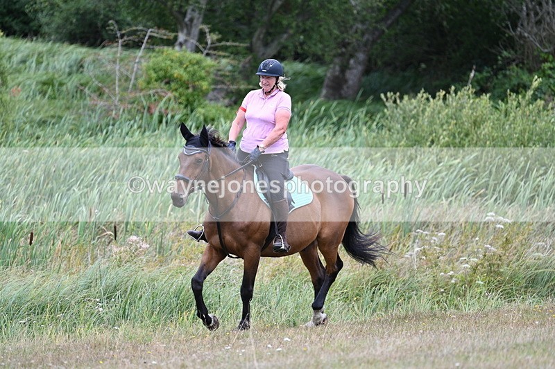 WJ7_6108 - Time 11:50 to 12:09