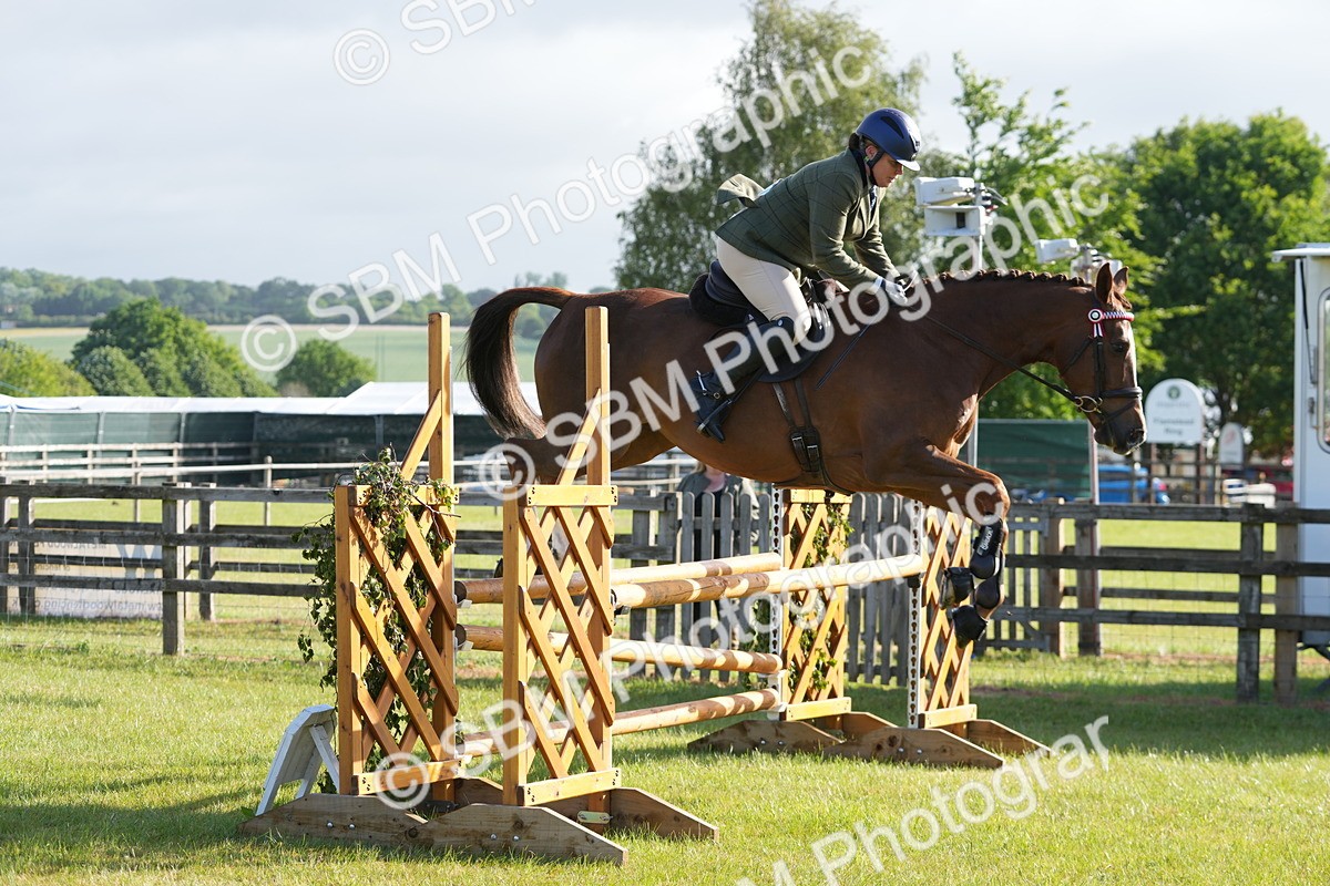 SBM_10520 - Class 97-98 - LIHS BSHA Rising Star Working Show Horse Hunter