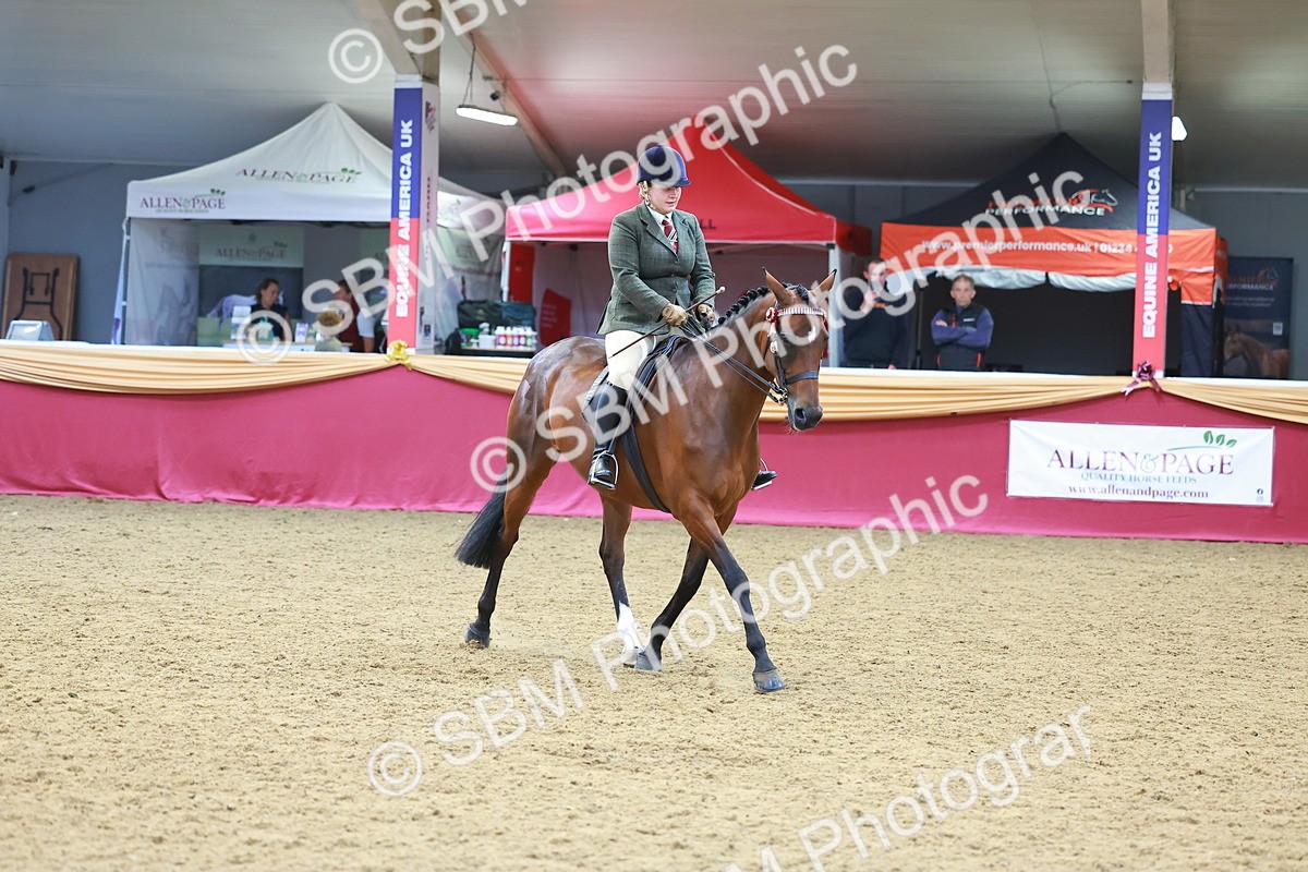 SBM_06104 - Class 12R - Ridden Pre-Vet