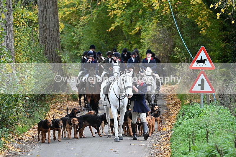 WJ7_7131 - Walk Home..