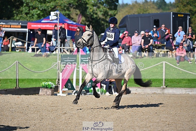 241027-120817-17146 - 388-Anaya.Stoneman-DUNTOATEE