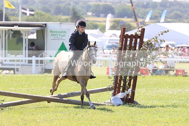 JPP_2206 - Class 20: Tiny Tots Working Hunter Pony