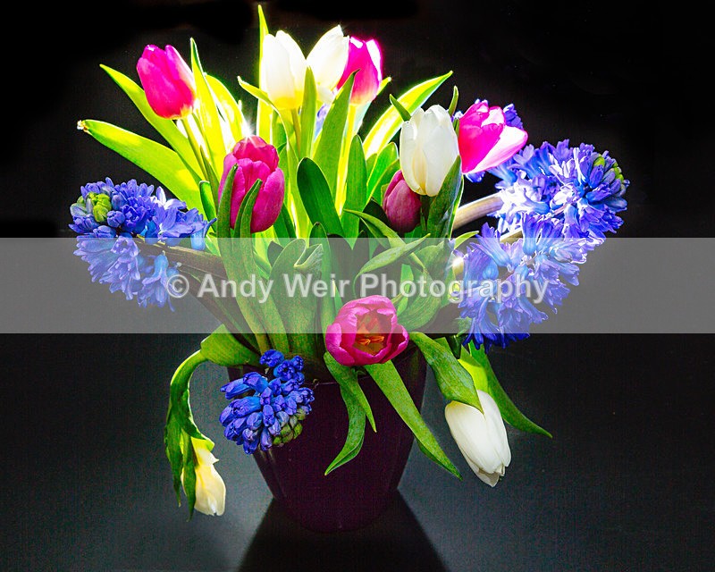 20160116-3K8A2737-3935-3936 - Plants & Flowers