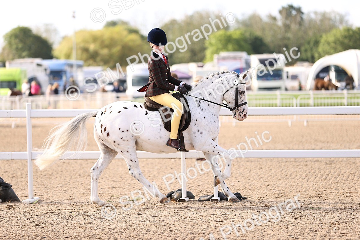 SBM_09023 - Class 403 - Grassroots Ridden - Junior