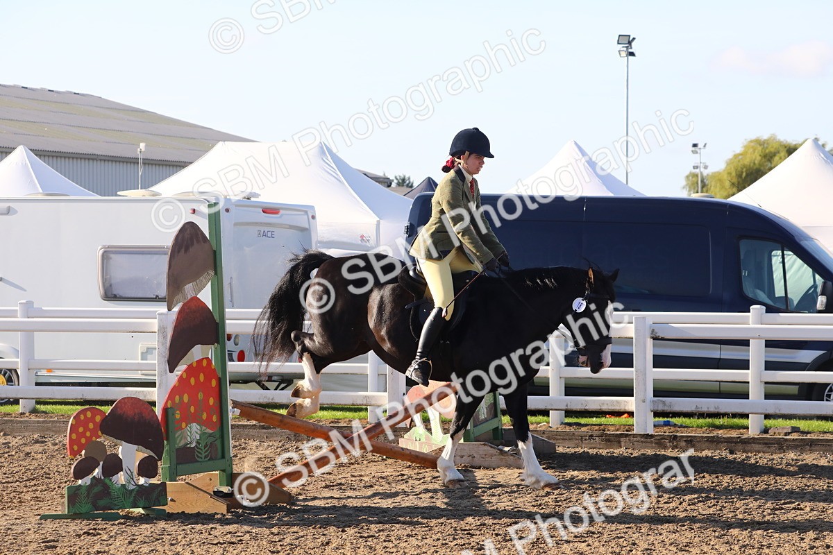 SBM_07900 - Class 501 - Riding Club Pony