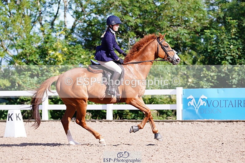 240809A-090358-00139 - Dressage Competition
