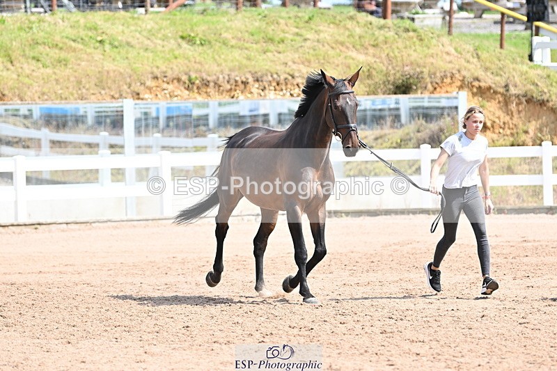 240717A-153757-02929 - Trot Up 3pm to 4pm