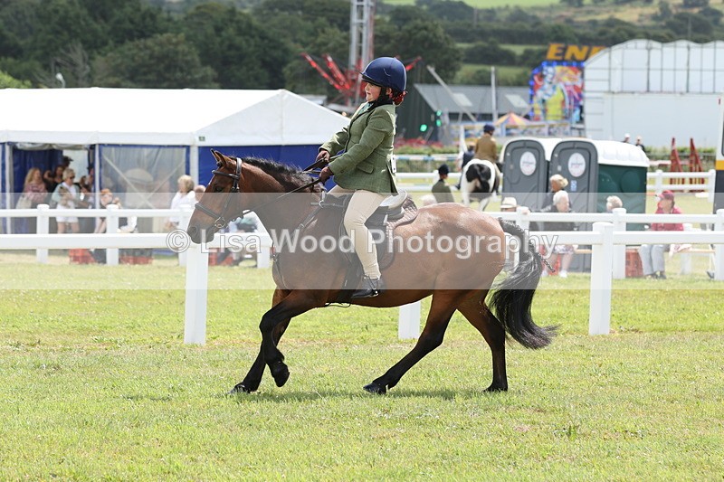 JPP_2011 - Class 18: Tiny Tots Working Hunter Pony