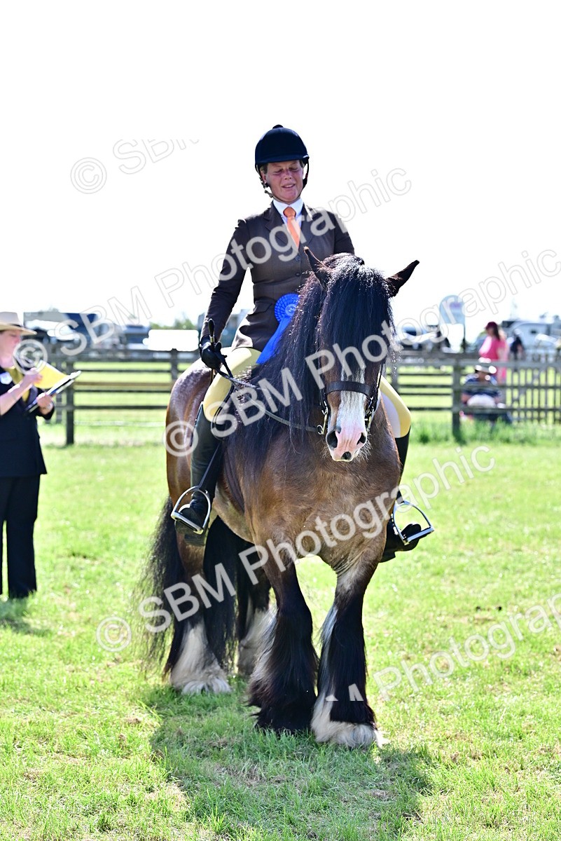 SBM_09423 - Class 63-65 - Traditional Gypsy Cobs In Hand & Ridden
