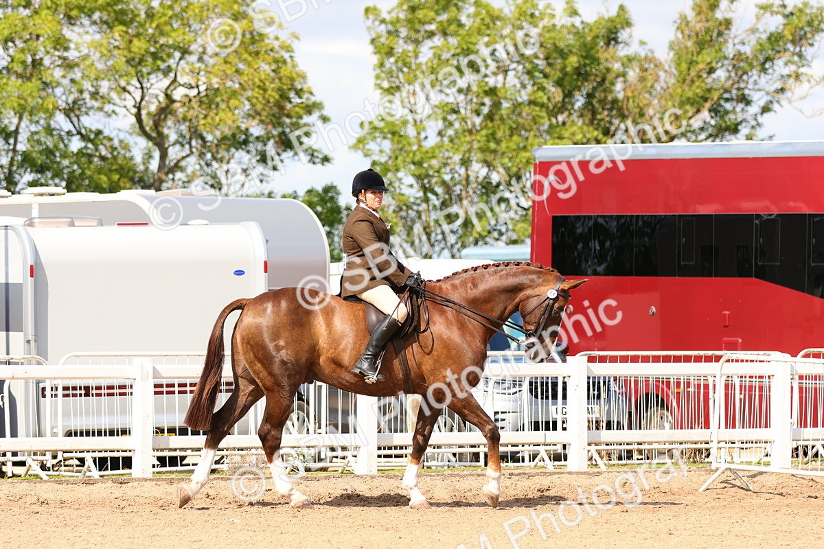 SBM_13441 - Class 212 - Ridden Hunter  - Large