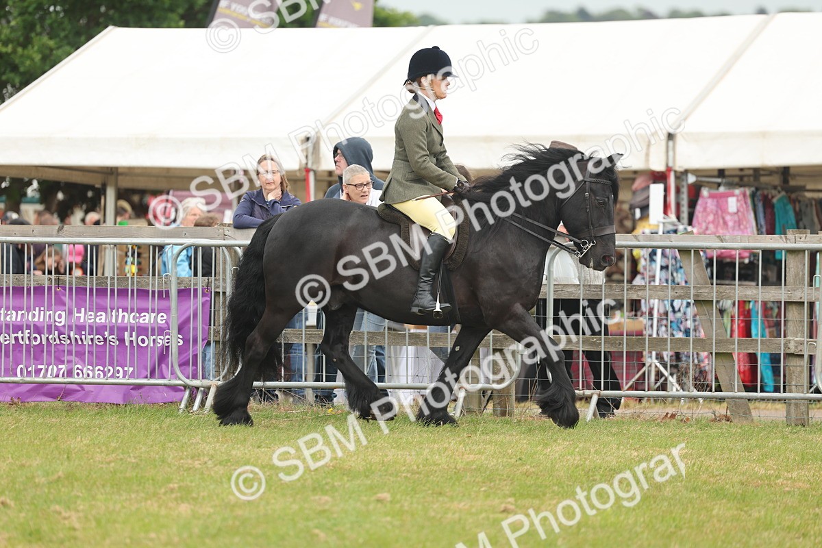 SBM_08940 - Class 78-80 - Ridden M&M Non Welsh Ponies