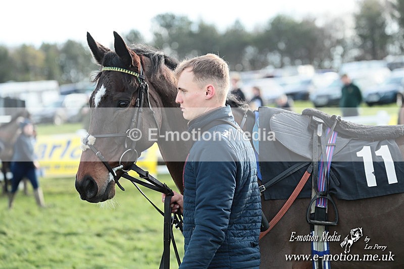 PtP 141225  1264 - New Forest Hounds PtP Larkhill 14/12/25