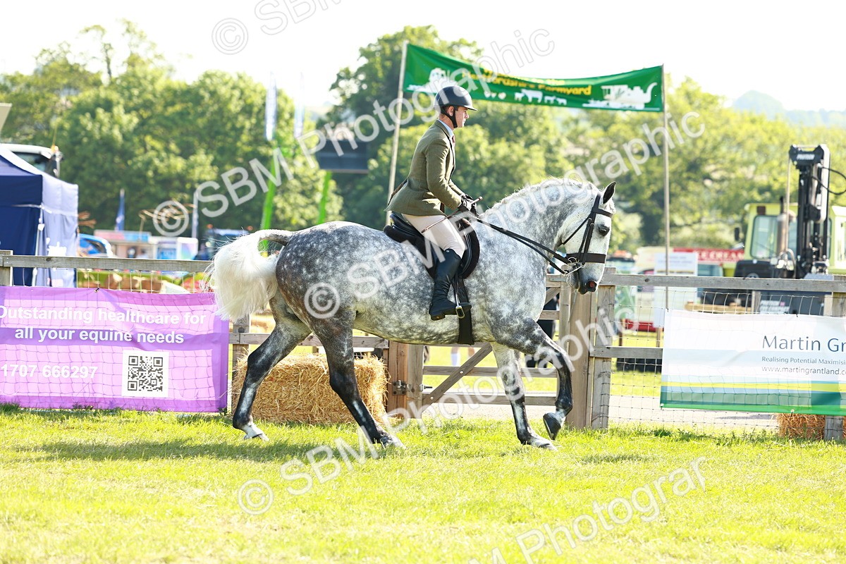 SBM_11797 - Class 66-69 - RIHS Ridden Hunters Inc Small Hunter